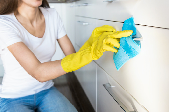 professional home sanitizing