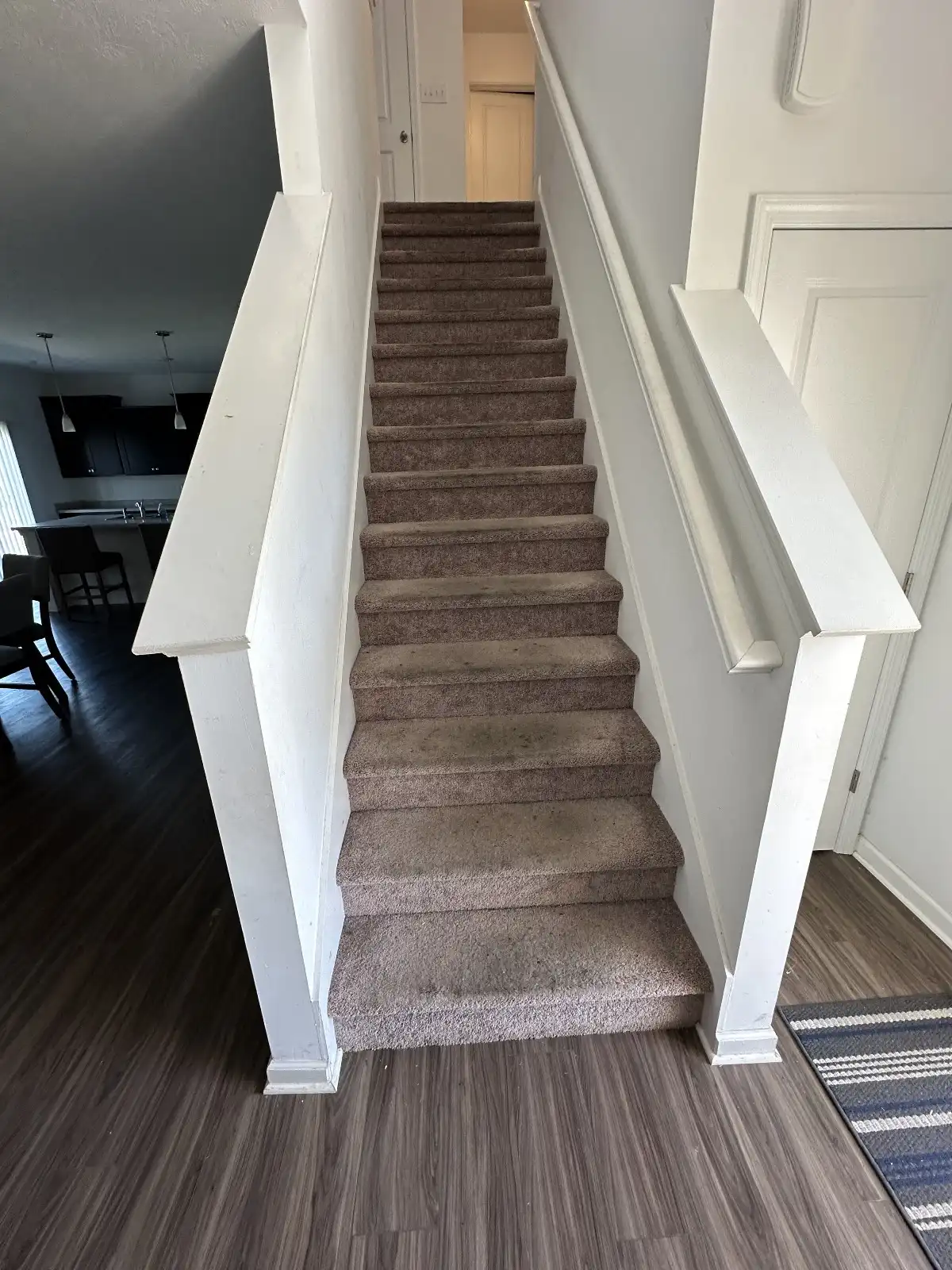carpet cleaning