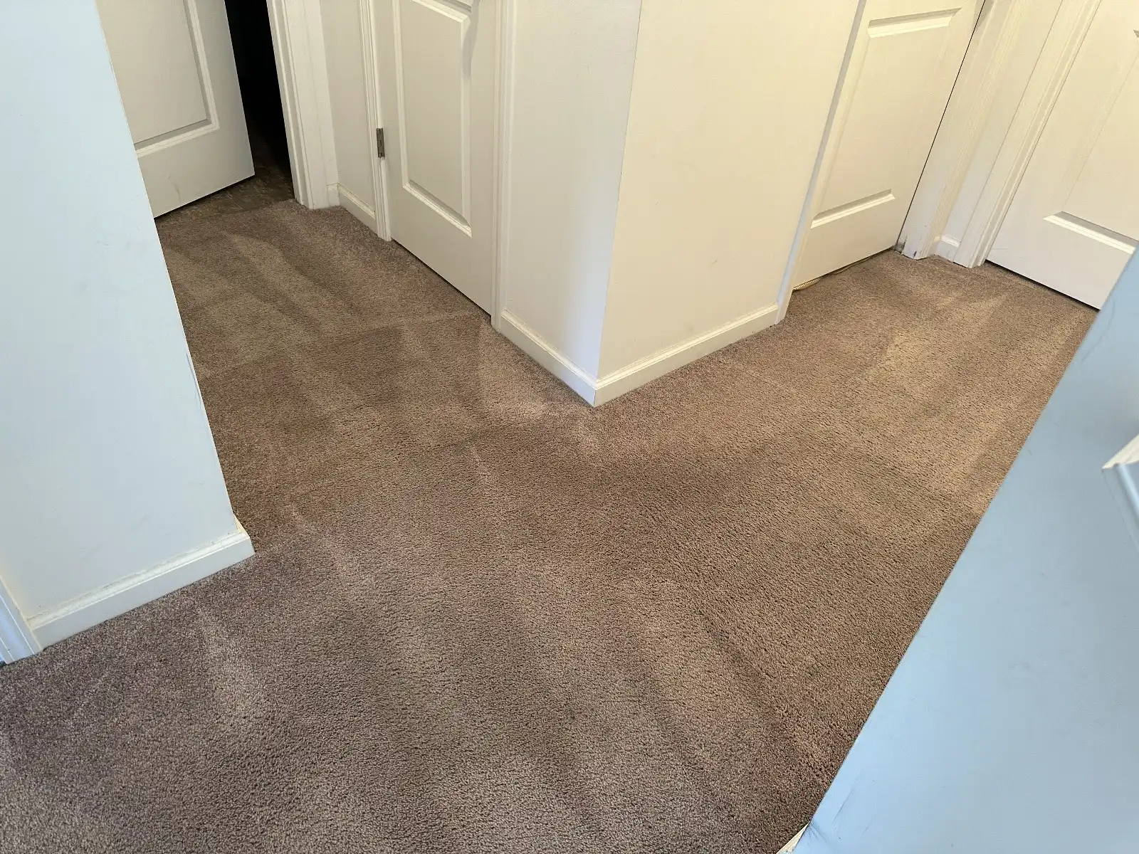 carpet cleaning