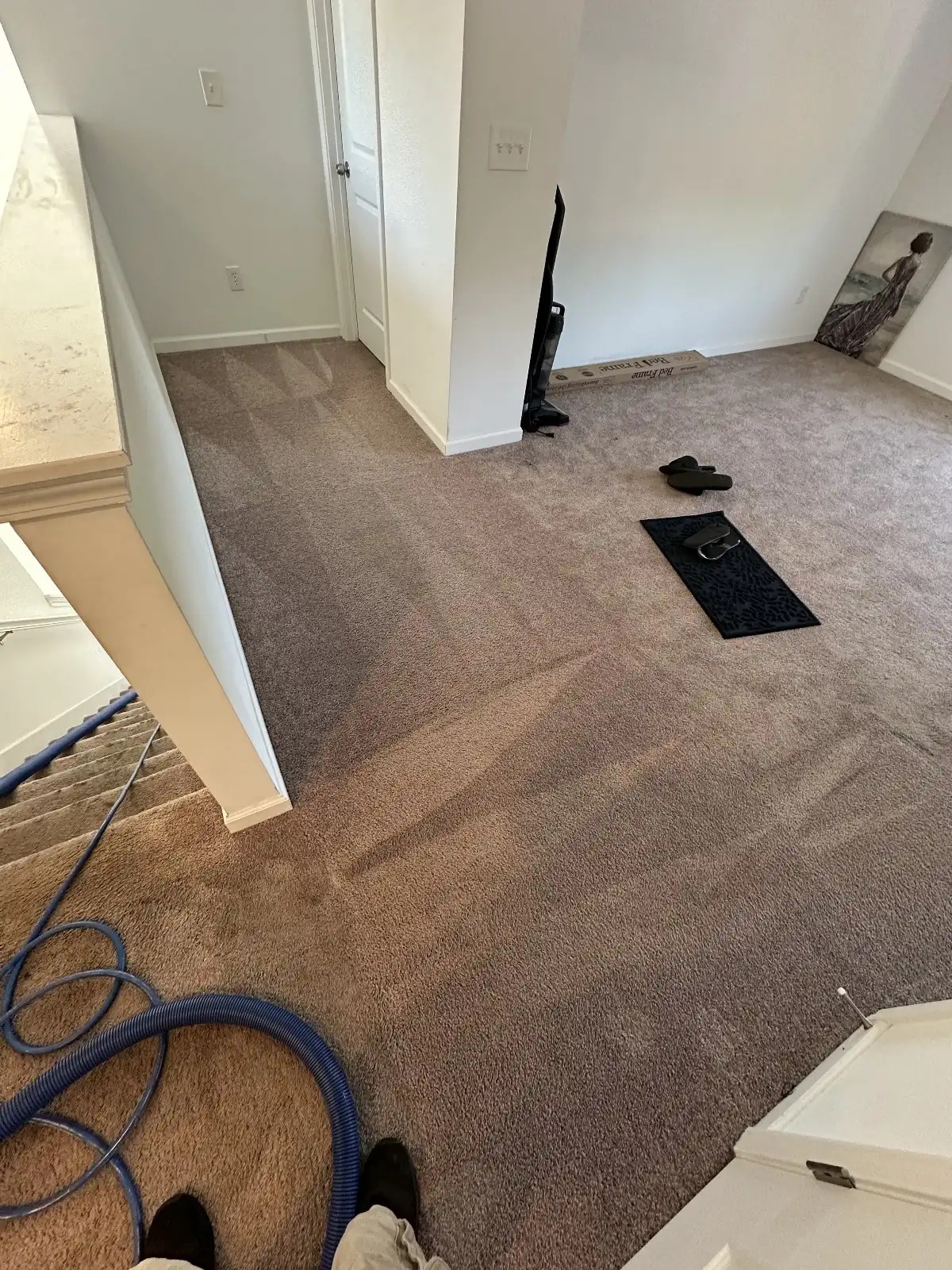 carpet cleaning