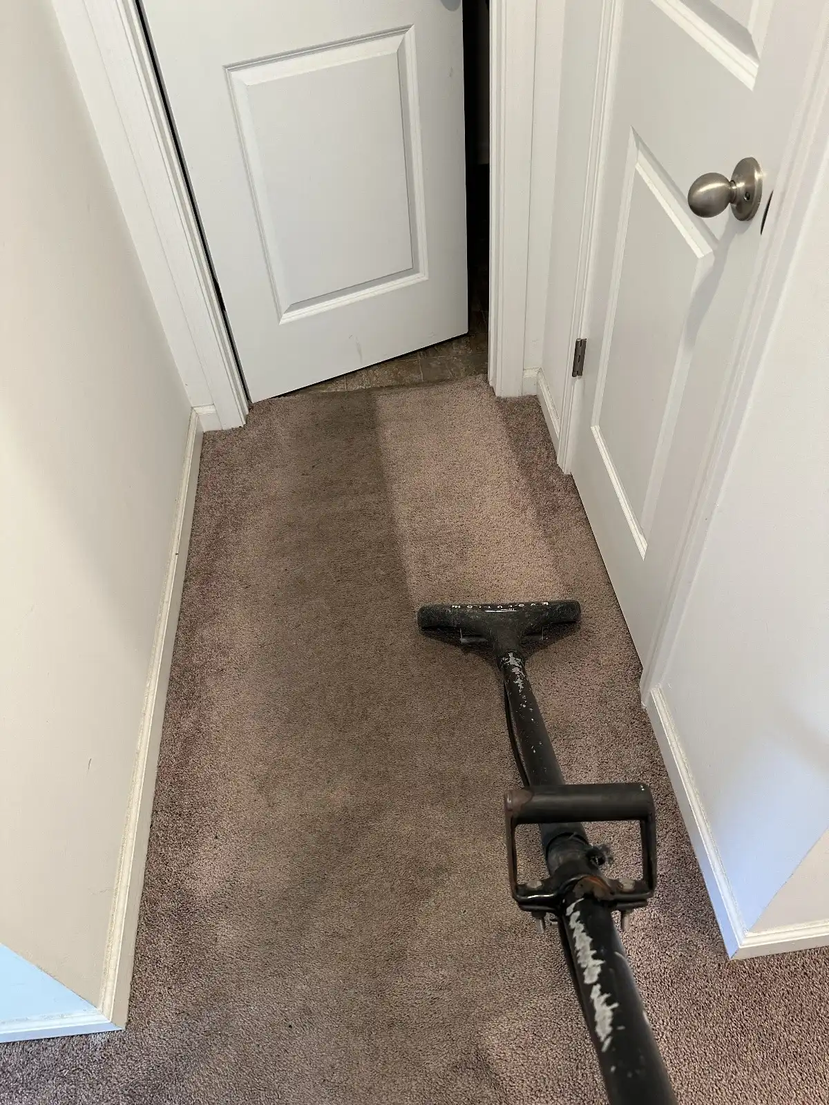 carpet cleaning