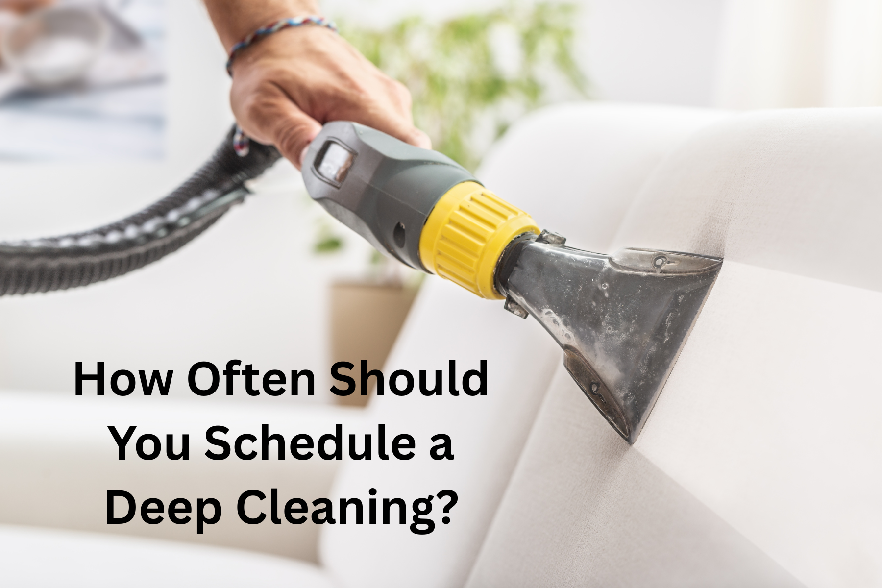 cleaner vacuuming furniture